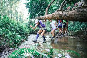 BIB: 
                            <button type="button" onclick="openModal(25455236)" class="btn btn-primary btn-sm float-right btn-popup" data-toggle="modal" data-target=".modal-high-quality">
                        <i class="fas fa-shopping-cart"></i> Add to Cart
                    </button>
                                            <button type="button" onclick="isThisMe(25455236, true)" class="btn btn-success btn-sm float-right btn-popup btn-isme hidden" data-toggle="tooltip" data-placement="bottom" title="นี่คือรูปของคุณใช่ไหม คลิกที่นี่เพื่อเอาเข้าอัลบั้ม">
                        <i class="fas fa-plus"></i> Add to album
                    </button>
                    <button type="button" onclick="isThisMe(25455236, false)" class="btn btn-warning btn-sm float-right btn-popup btn-isnotme hidden">
                        <i class="fas fa-ban"></i> Remove from album
                    </button>